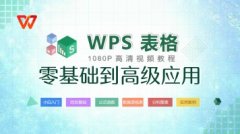 WPS2021表格零基础到高级应用